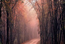 亚马尔与19岁女网红购物被偷拍 她有140多万粉丝.